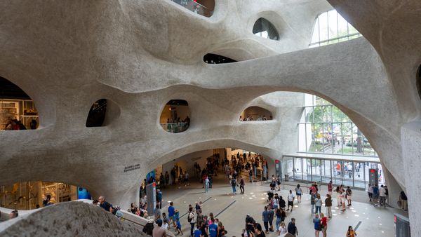 48: american museum of natural history